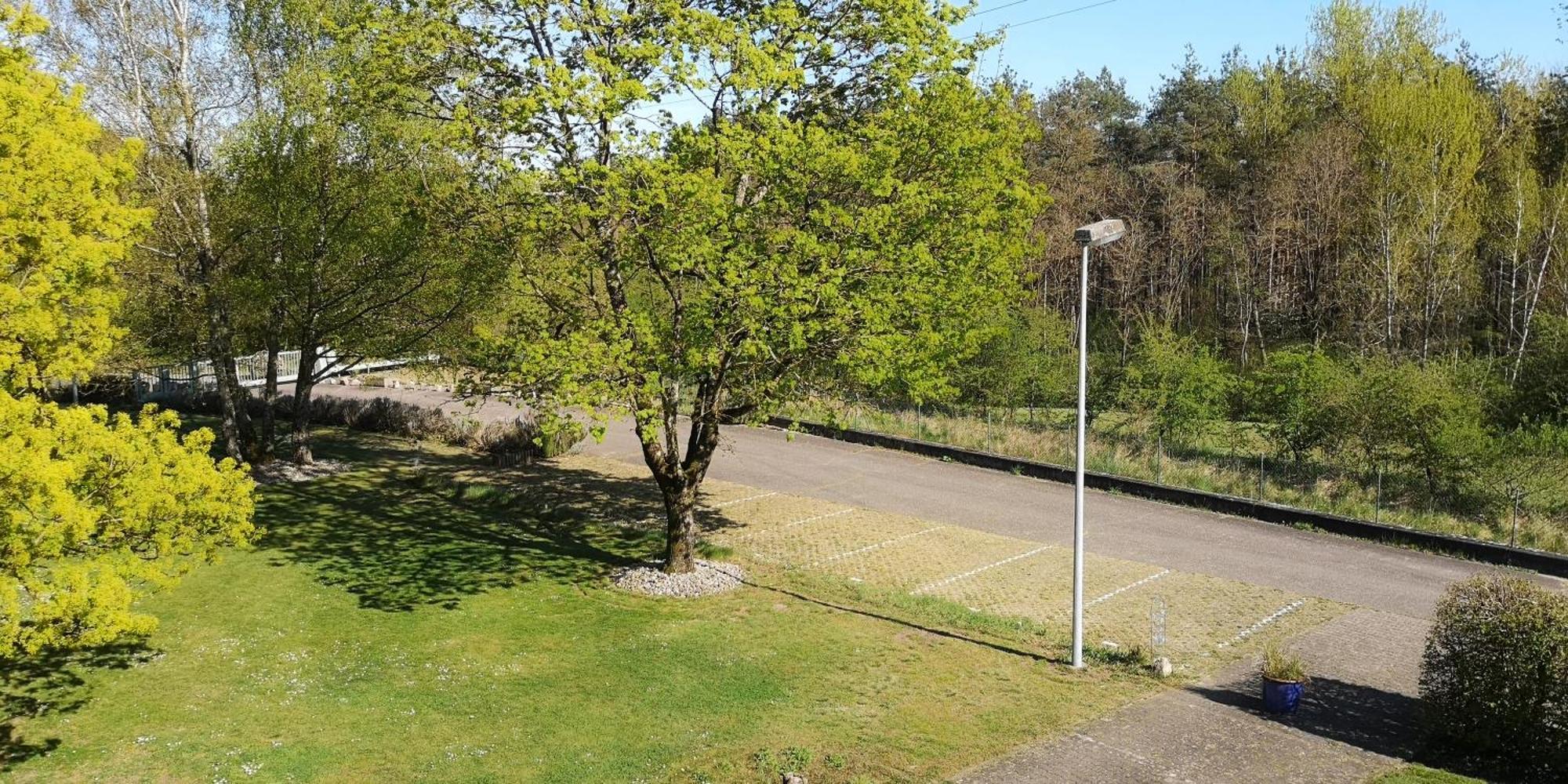 伊费茨海姆Niederwald公寓 外观 照片